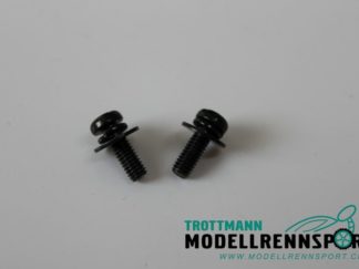 Schrauben Motorenverkleidung Zylinder