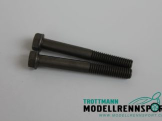 Stossdämpferschraube / Linksgewinde